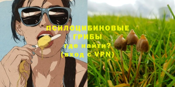 МДМА Осинники