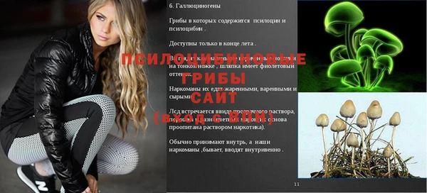 МДМА Осинники